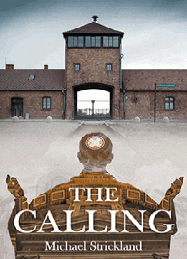 Book cover for THE CALLING, available to option through OptionAvenue