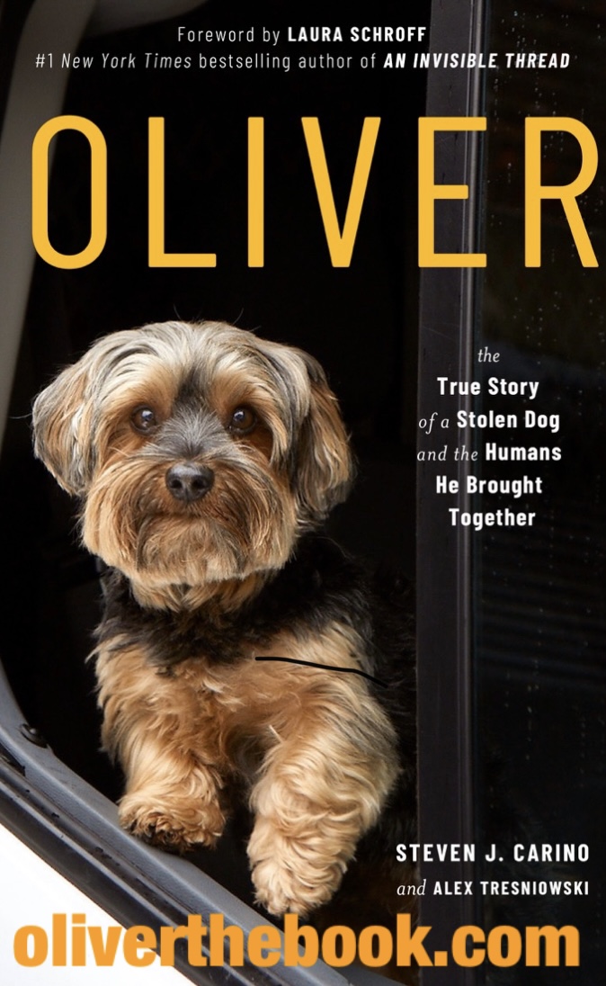 Book cover for Oliver, available to option through OptionAvenue