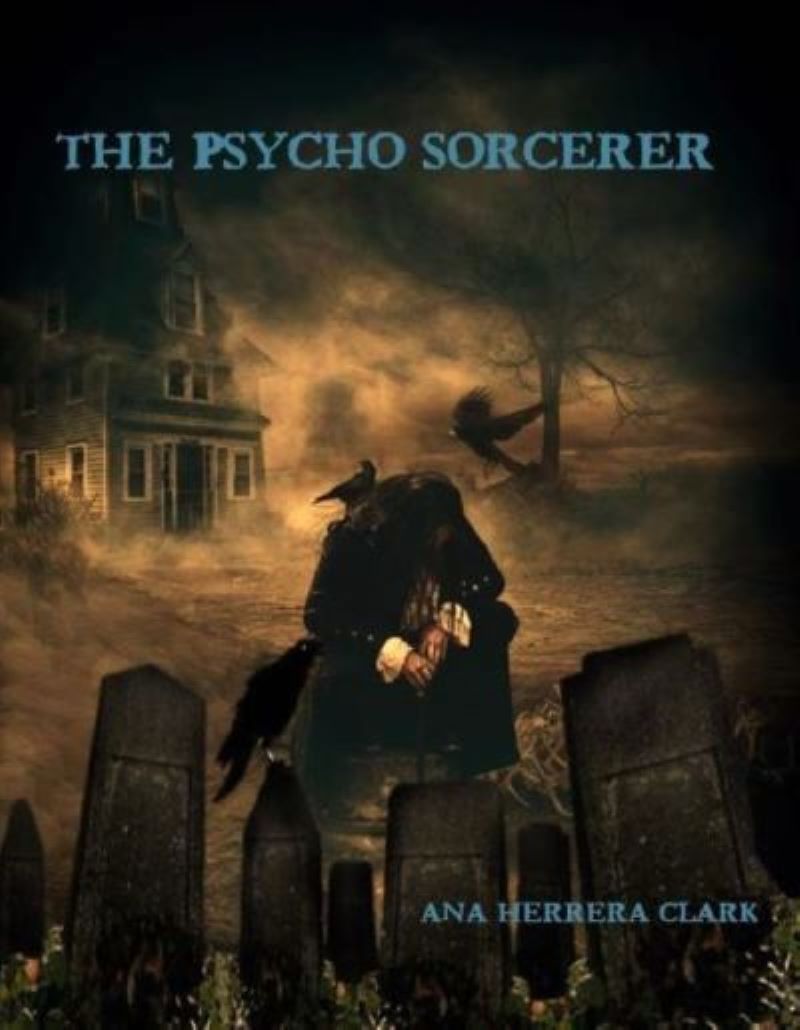 Book cover for The Psycho Sorcerer, available to option through OptionAvenue
